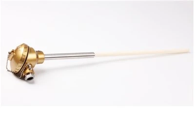 Platinum Rhodium Thermoelement 130 tipa ne fiksni tip